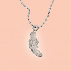 Flügel der SARAPHINA